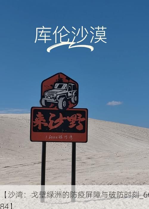 【沙湾:戈壁绿洲的防疫屏障与破防时刻_66984】
