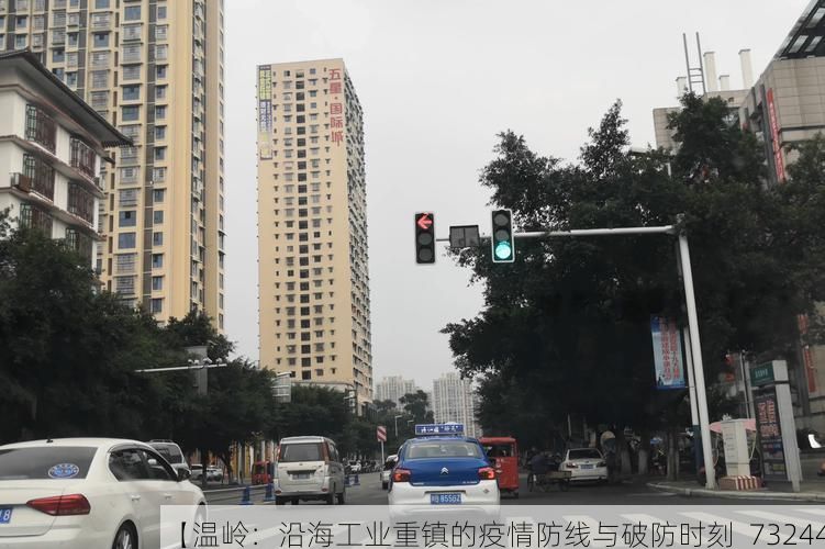 【温岭：沿海工业重镇的疫情防线与破防时刻_73244】