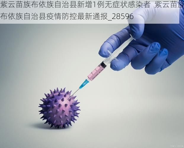 紫云苗族布依族自治县新增1例无症状感染者 紫云苗族布依族自治县疫情防控最新通报_28596