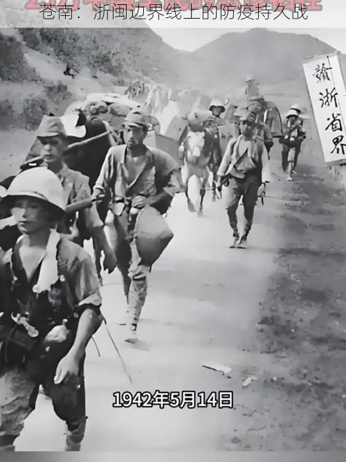 苍南:浙闽边界线上的防疫持久战
