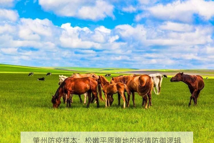 肇州防疫样本:松嫩平原腹地的疫情防御逻辑