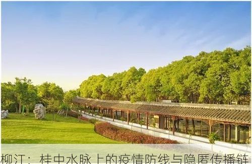 柳江：桂中水脉上的疫情防线与隐匿传播链