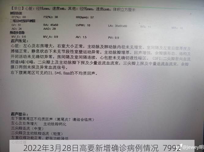 2022年3月28日高要新增确诊病例情况_7992