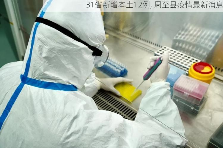 31省新增本土12例, 周至县疫情最新消息