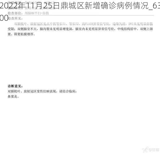 2022年11月25日鼎城区新增确诊病例情况_6300