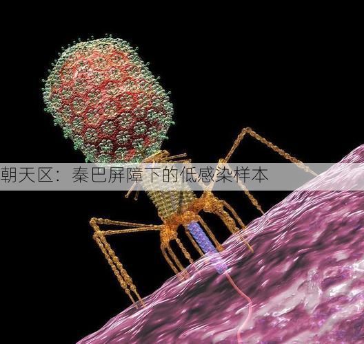 朝天区：秦巴屏障下的低感染样本