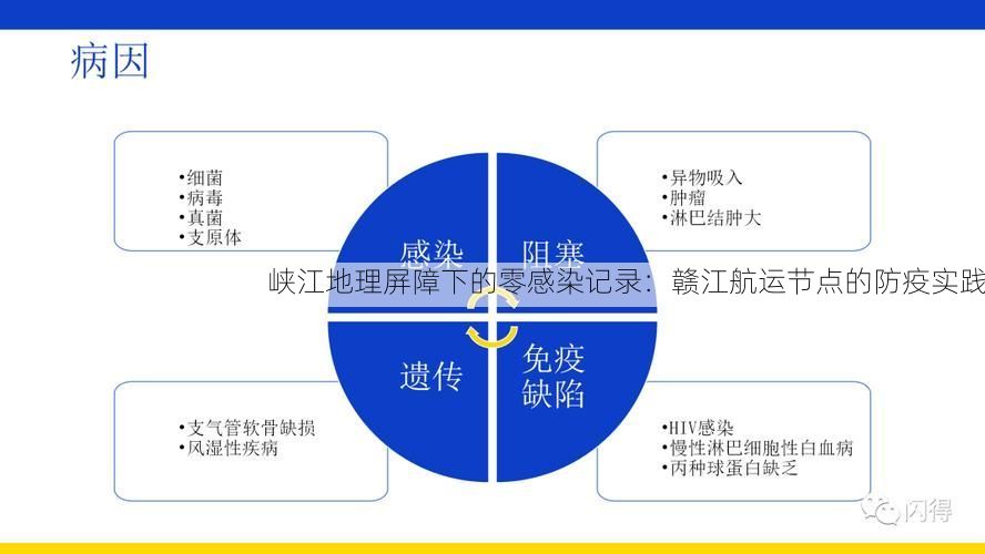 峡江地理屏障下的零感染记录:赣江航运节点的防疫实践