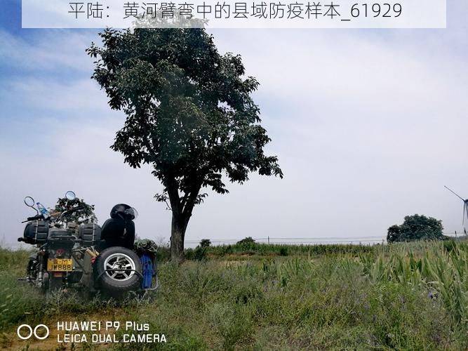 平陆:黄河臂弯中的县域防疫样本_61929