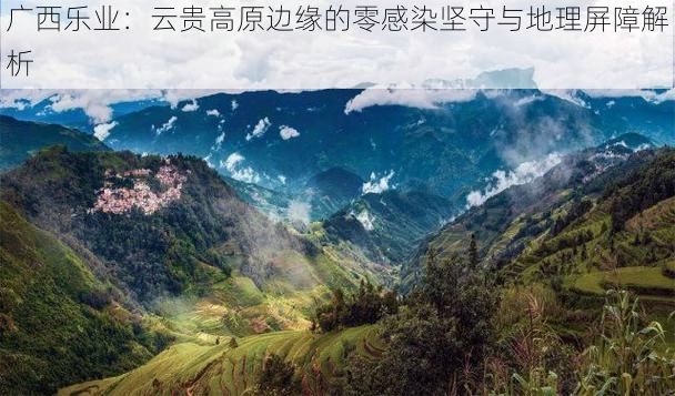广西乐业：云贵高原边缘的零感染坚守与地理屏障解析