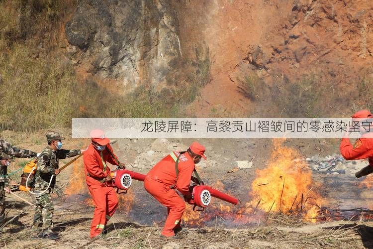 龙陵屏障：高黎贡山褶皱间的零感染坚守