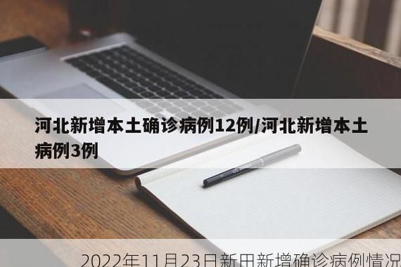 2022年11月23日新田新增确诊病例情况