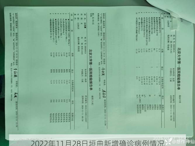 2022年11月28日垣曲新增确诊病例情况