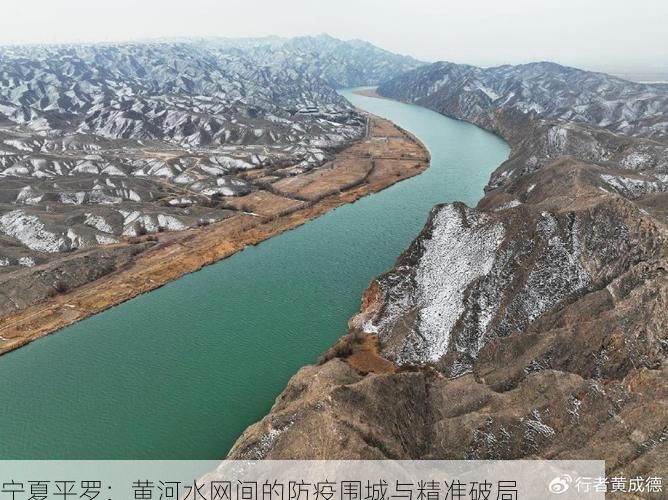 宁夏平罗:黄河水网间的防疫围城与精准破局