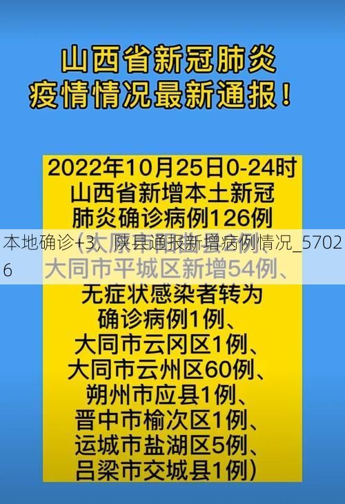 本地确诊+3,陕县通报新增病例情况_57026