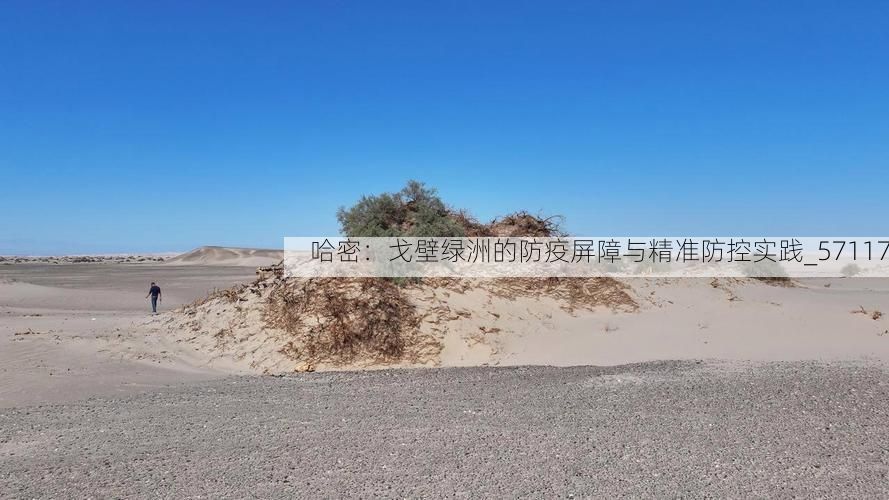 哈密：戈壁绿洲的防疫屏障与精准防控实践_57117