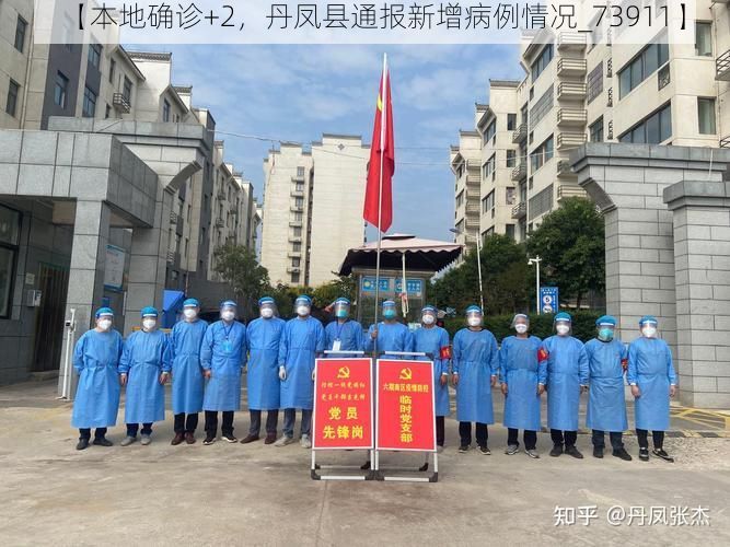 【本地确诊+2,丹凤县通报新增病例情况_73911】