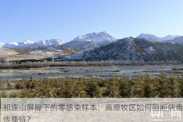 祁连山屏障下的零感染样本：高原牧区如何阻断病毒传播链？