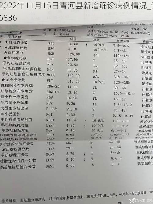 2022年11月15日青河县新增确诊病例情况_56836