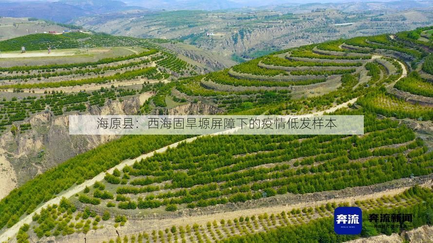 海原县:西海固旱塬屏障下的疫情低发样本