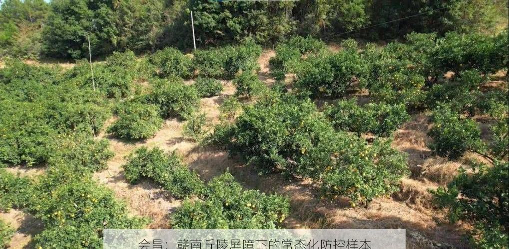 会昌:赣南丘陵屏障下的常态化防控样本