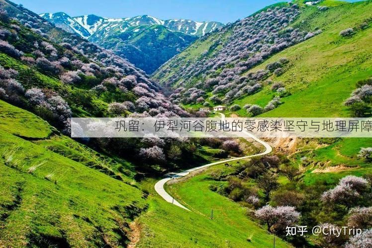 巩留：伊犁河谷腹地的零感染坚守与地理屏障
