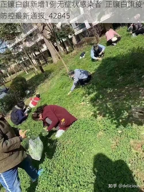 正镶白旗新增1例无症状感染者  正镶白旗疫情防控最新通报_42845