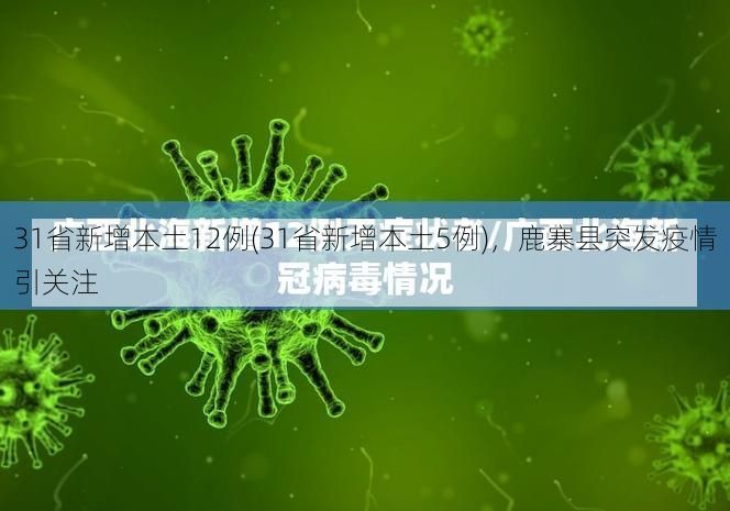 31省新增本土12例(31省新增本土5例)，鹿寨县突发疫情引关注