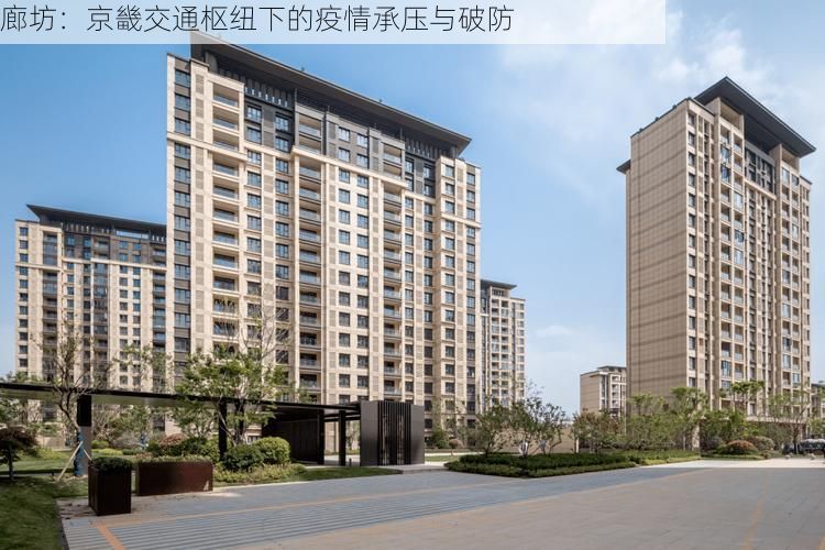 廊坊：京畿交通枢纽下的疫情承压与破防