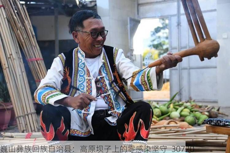 巍山彝族回族自治县:高原坝子上的零感染坚守_30720