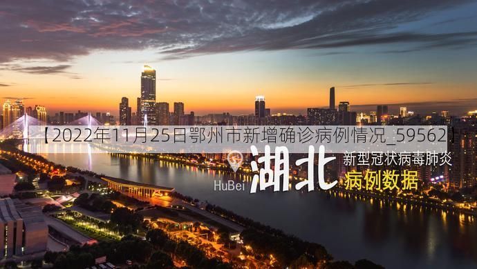 【2022年11月25日鄂州市新增确诊病例情况_59562】