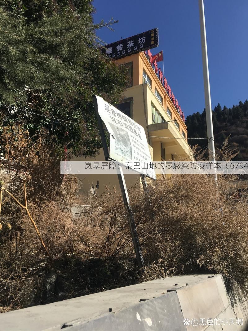 岚皋屏障：秦巴山地的零感染防疫样本_66794