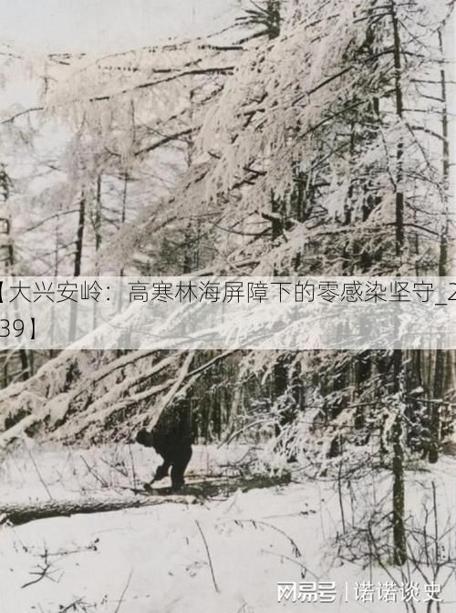 【大兴安岭:高寒林海屏障下的零感染坚守_28039】