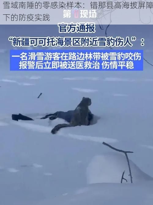 雪域南陲的零感染样本：错那县高海拔屏障下的防疫实践
