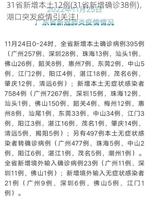 31省新增本土12例(31省新增确诊38例)，湖口突发疫情引关注！