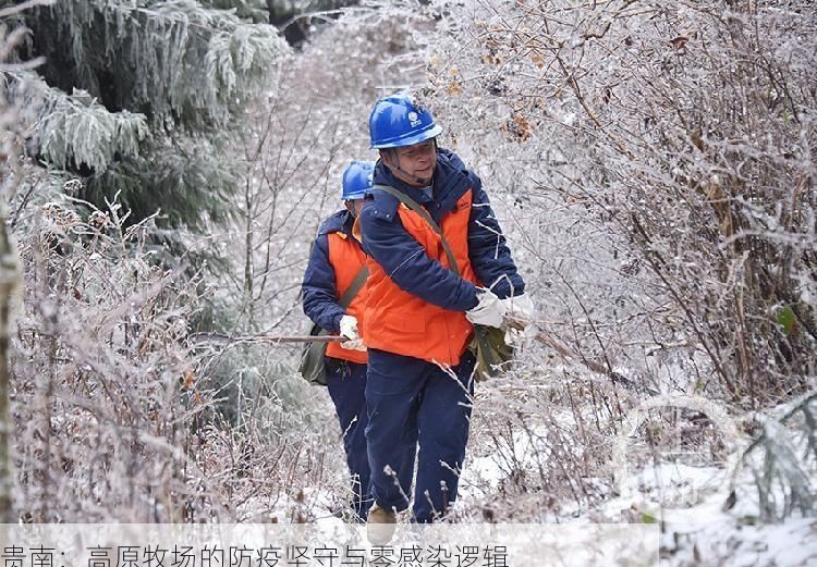 贵南：高原牧场的防疫坚守与零感染逻辑