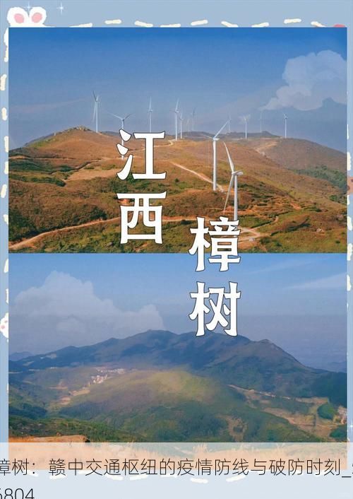 樟树：赣中交通枢纽的疫情防线与破防时刻_56804