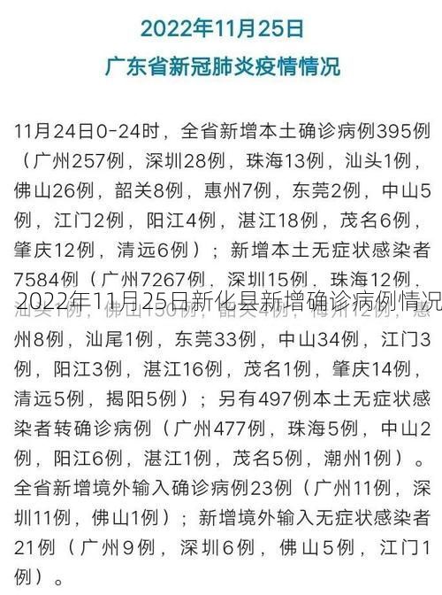 2022年11月25日新化县新增确诊病例情况