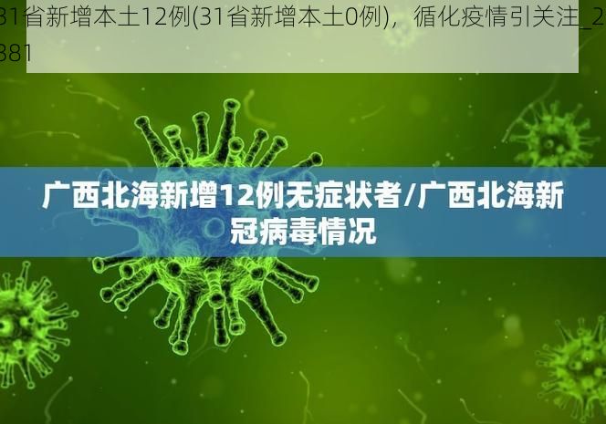 31省新增本土12例(31省新增本土0例),循化疫情引关注_21381