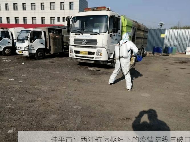 桂平市：西江航运枢纽下的疫情防线与破口