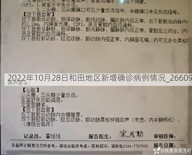 2022年10月28日和田地区新增确诊病例情况_26609