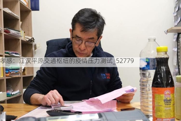 孝感:江汉平原交通枢纽的疫情压力测试_52779