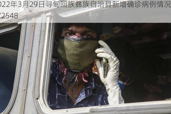 2022年3月29日寻甸回族彝族自治县新增确诊病例情况_72548