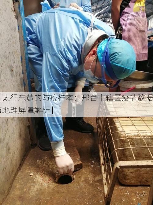 【太行东麓的防疫样本:邢台市辖区疫情数据与地理屏障解析】