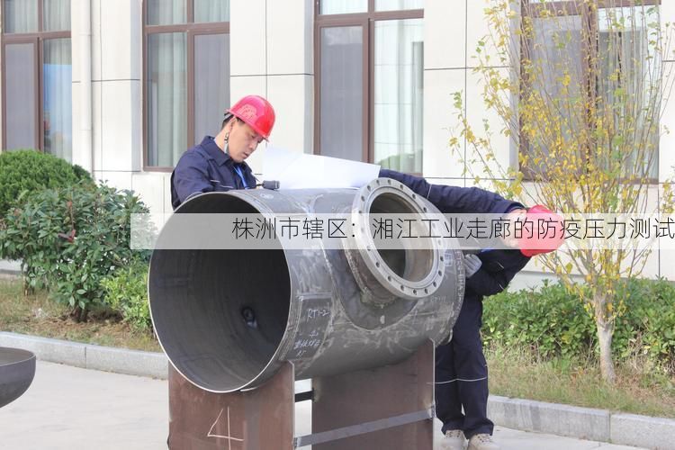 株洲市辖区:湘江工业走廊的防疫压力测试