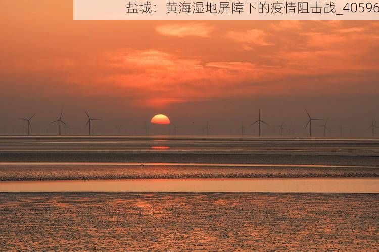 盐城:黄海湿地屏障下的疫情阻击战_40596
