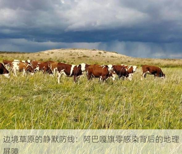 边境草原的静默防线:阿巴嘎旗零感染背后的地理屏障