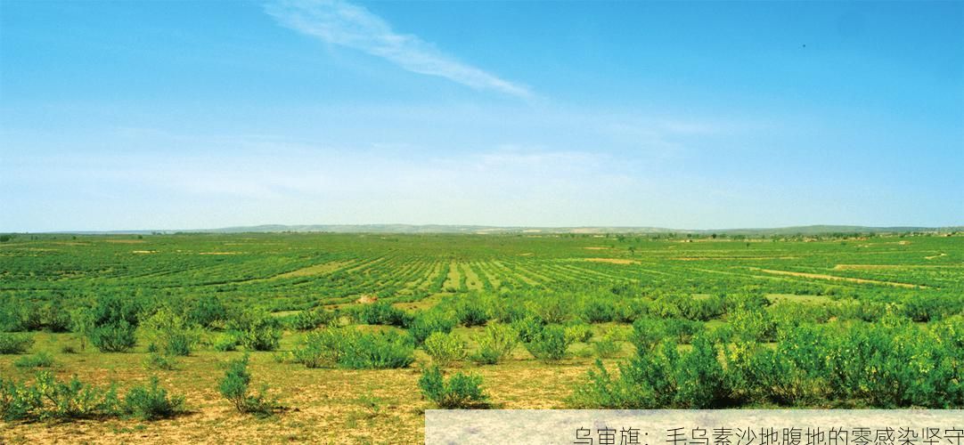 乌审旗:毛乌素沙地腹地的零感染坚守