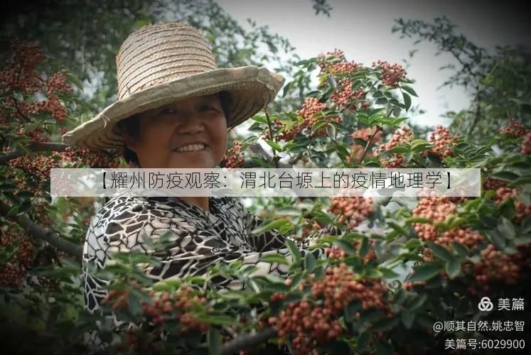 【耀州防疫观察：渭北台塬上的疫情地理学】