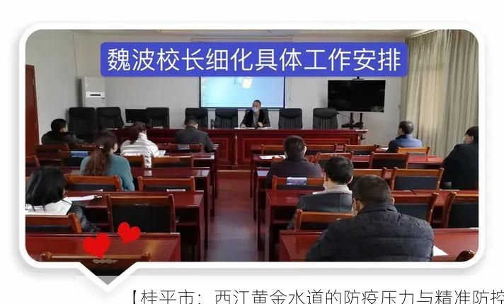 【桂平市：西江黄金水道的防疫压力与精准防控】