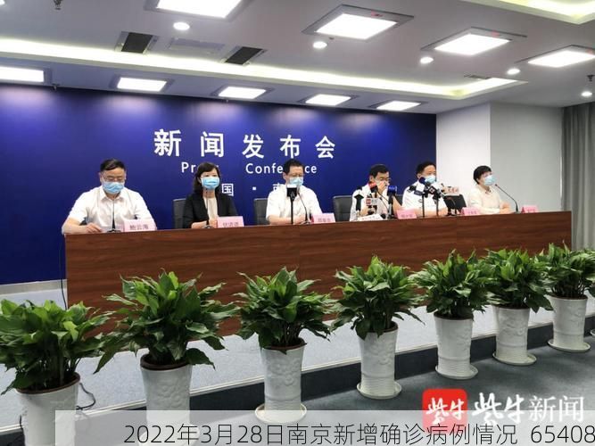 2022年3月28日南京新增确诊病例情况_65408